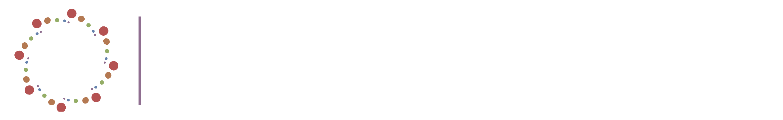 Pluralistic Practice Journal logo followed by the words pluralistic practice